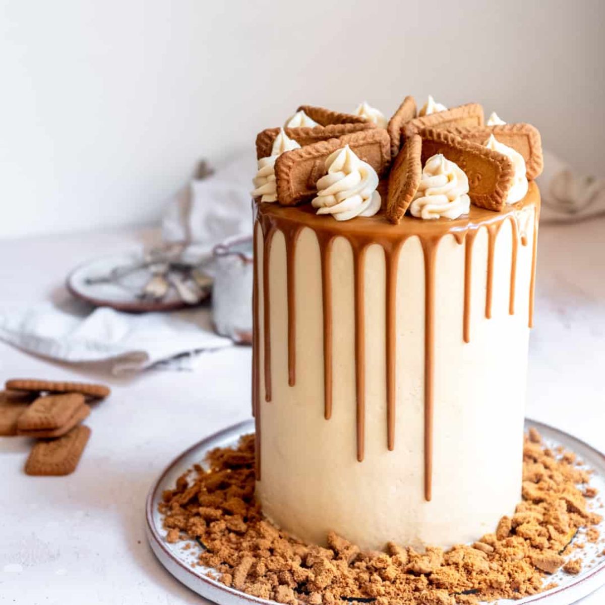 Τριμμένα Μπισκότα Lotus Biscuit Crumbs